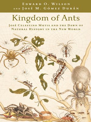 cover image of Kingdom of Ants